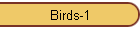 Birds-1